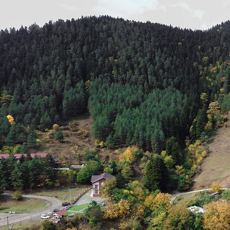 Holiday Borjomi Qvibisi Екстериор снимка