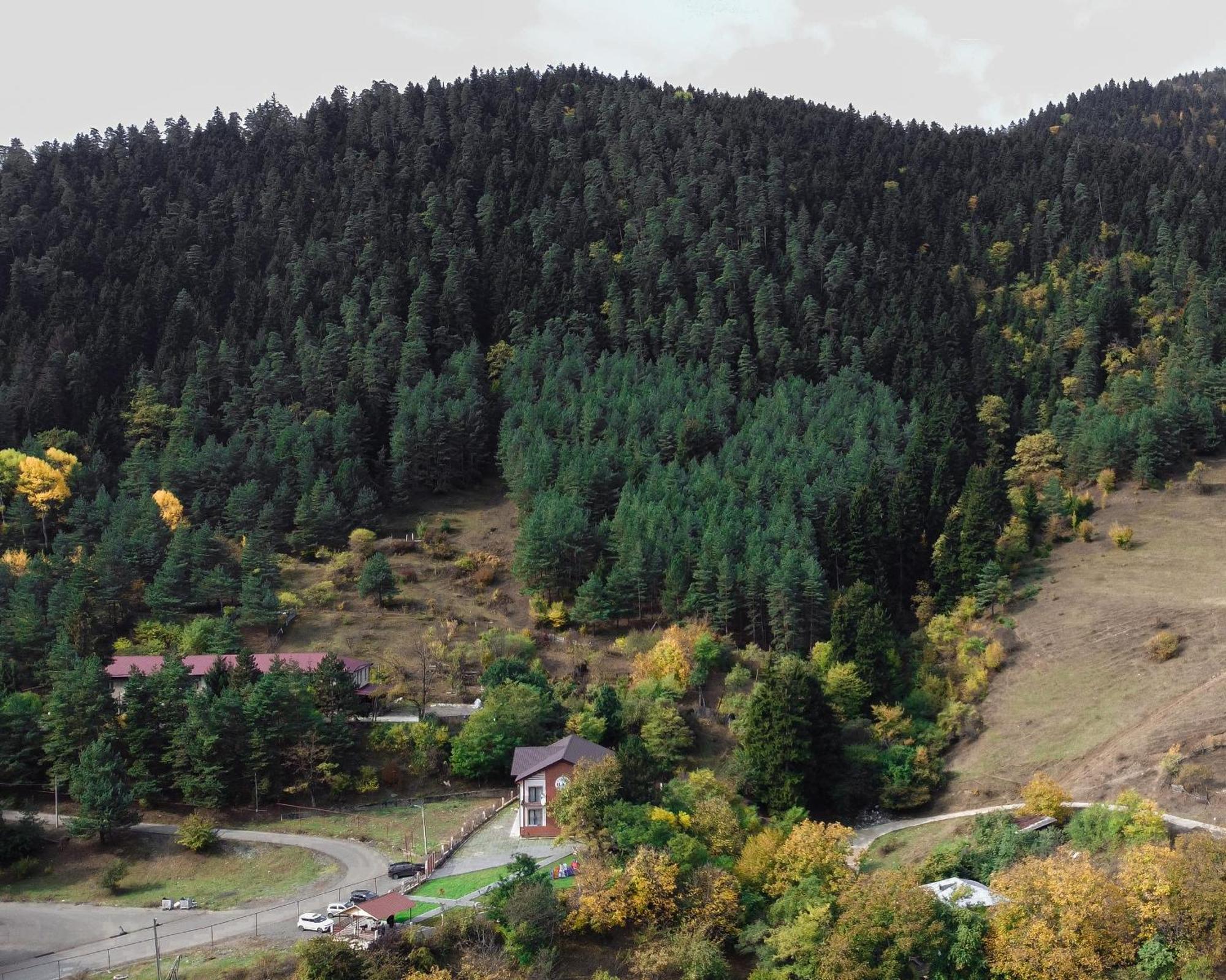 Holiday Borjomi Qvibisi Екстериор снимка