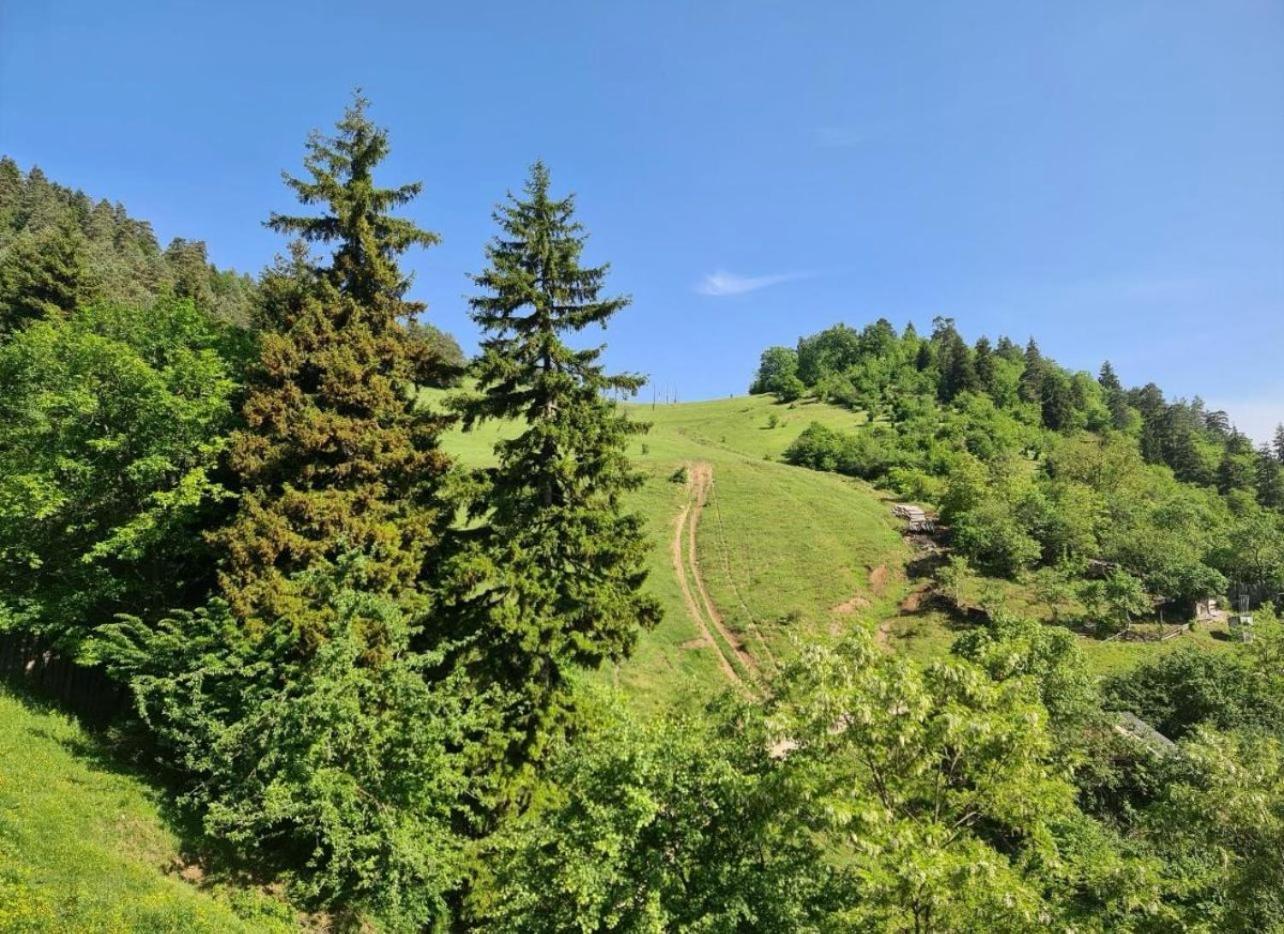 Holiday Borjomi Qvibisi Екстериор снимка