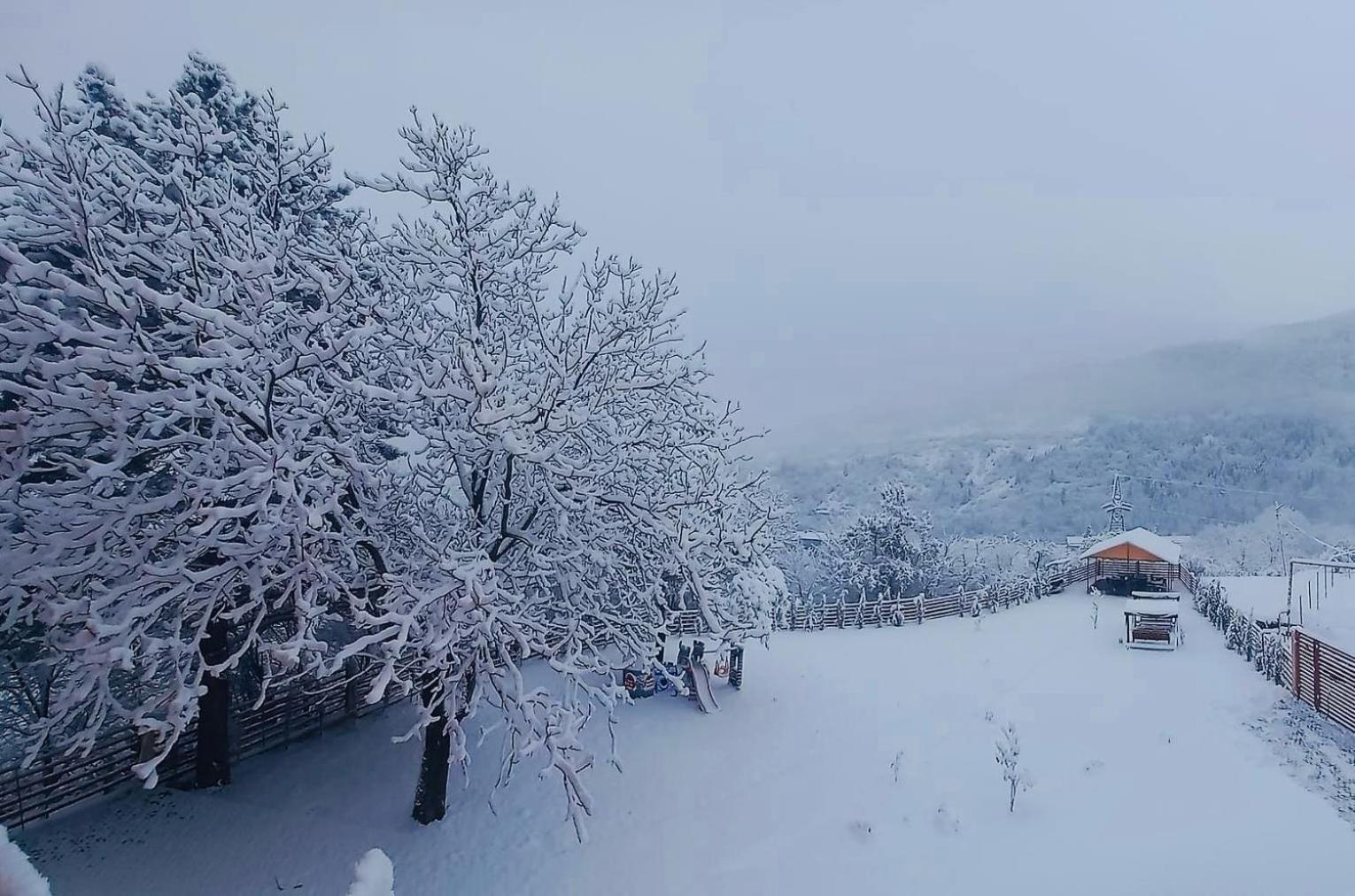 Holiday Borjomi Qvibisi Екстериор снимка