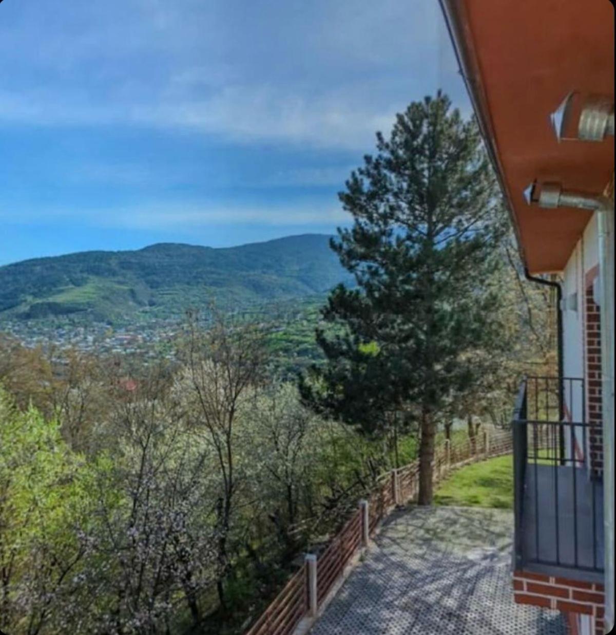 Holiday Borjomi Qvibisi Екстериор снимка