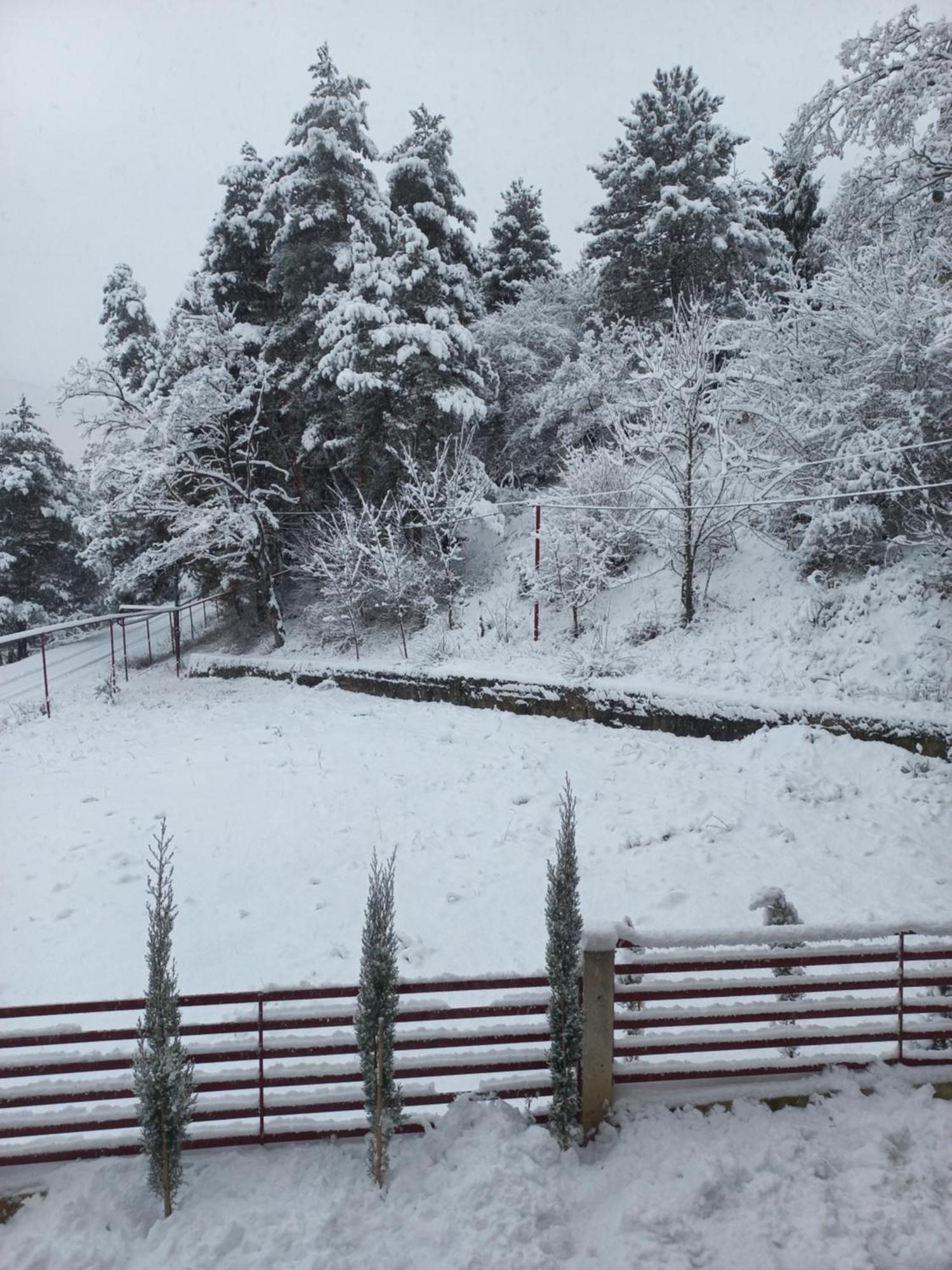 Holiday Borjomi Qvibisi Екстериор снимка