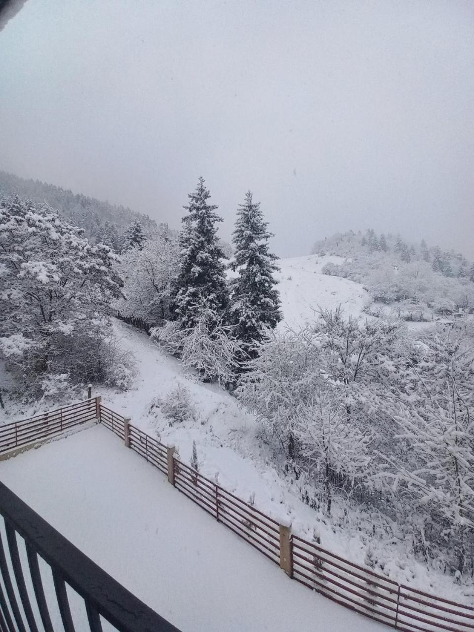 Holiday Borjomi Qvibisi Екстериор снимка