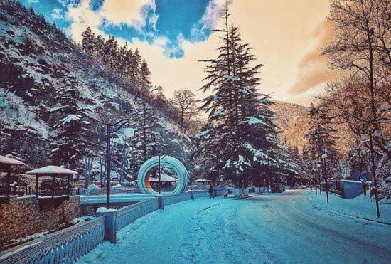 Holiday Borjomi Qvibisi Екстериор снимка